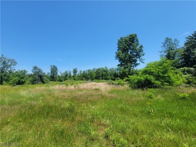 Excellent opportunity to own 2 parcels of land totalling 111 on Pepperidge Tree Golf Course in Ohio - for sale on GolfHomes.com, golf home, golf lot