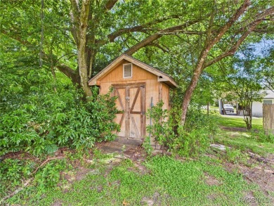 Charming Ranch-Style Retreat in Citrus Springs - Welcome to your on Citrus Springs Country Club in Florida - for sale on GolfHomes.com, golf home, golf lot