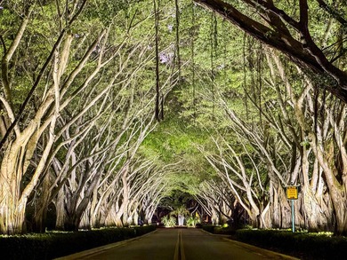 Enjoy the finest of Florida living in this stunning single-story on Ironhorse Country Club in Florida - for sale on GolfHomes.com, golf home, golf lot
