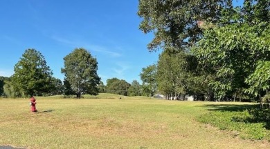 Vacant golf course lot - ready for approved patio home on Players Course At Wyboo Plantation in South Carolina - for sale on GolfHomes.com, golf home, golf lot