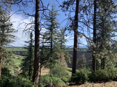 Fabulous Views!  One of the few ridge lots remaining along on Running Y Ranch Resort in Oregon - for sale on GolfHomes.com, golf home, golf lot