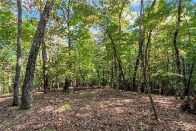 Spectacular .73-acre lush wooded lot, secluded on a private on Achasta Golf Club in Georgia - for sale on GolfHomes.com, golf home, golf lot