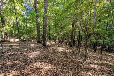 Spectacular .73-acre lush wooded lot, secluded on a private on Achasta Golf Club in Georgia - for sale on GolfHomes.com, golf home, golf lot