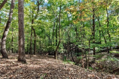 Spectacular .73-acre lush wooded lot, secluded on a private on Achasta Golf Club in Georgia - for sale on GolfHomes.com, golf home, golf lot