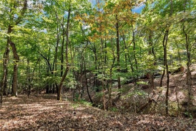 Spectacular .73-acre lush wooded lot, secluded on a private on Achasta Golf Club in Georgia - for sale on GolfHomes.com, golf home, golf lot