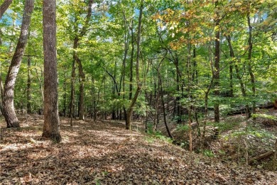 Spectacular .73-acre lush wooded lot, secluded on a private on Achasta Golf Club in Georgia - for sale on GolfHomes.com, golf home, golf lot