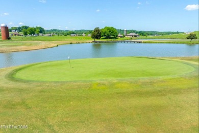 BRING ALL OFFERS!! Discover one of the few remaining spacious 0 on Tennessee National Golf Club in Tennessee - for sale on GolfHomes.com, golf home, golf lot