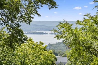 Supreme privacy, low maintenance & incredible lake, mountain on Kimberling City Golf Club in Missouri - for sale on GolfHomes.com, golf home, golf lot
