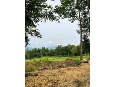 Discover your slice of paradise with this exceptional 1.75-acre on  in New Hampshire - for sale on GolfHomes.com, golf home, golf lot