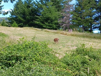 Nice, gently sloping lot in Shelter Cove to build your dream on Shelter Cove Golf Course in California - for sale on GolfHomes.com, golf home, golf lot