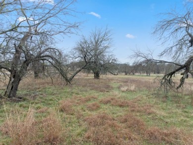 Two prime .44-acre lots located inside the prestigious White on White Bluff Resort - Old Course in Texas - for sale on GolfHomes.com, golf home, golf lot