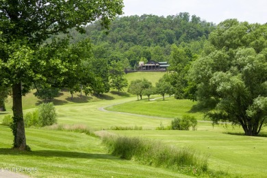 Super cool one bedroom, two bath, with double sided sleeping on Laurel Valley Golf Course in Tennessee - for sale on GolfHomes.com, golf home, golf lot