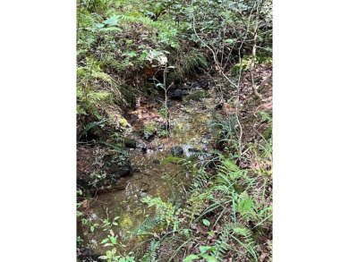 This is a rare and extremely limited opportunity--only one lot on Old Toccoa Farm Golf Club in Georgia - for sale on GolfHomes.com, golf home, golf lot