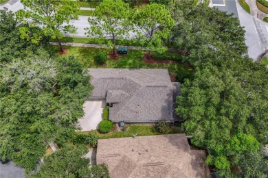 Under contract-accepting backup offers. Get ready to start on Country Club of Mount Dora in Florida - for sale on GolfHomes.com, golf home, golf lot