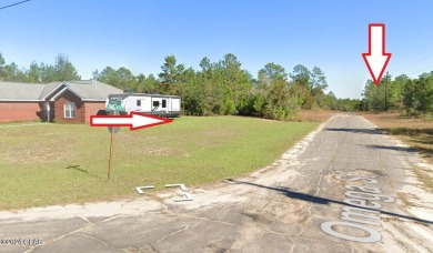 Discover the perfect opportunity to build your dream home on on Sunny Hills Golf and Country Club in Florida - for sale on GolfHomes.com, golf home, golf lot