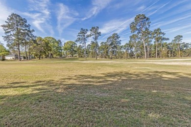 Discover your dream home in the gated Santee Cooper Resort, a on Santee-Cooper Country Club in South Carolina - for sale on GolfHomes.com, golf home, golf lot