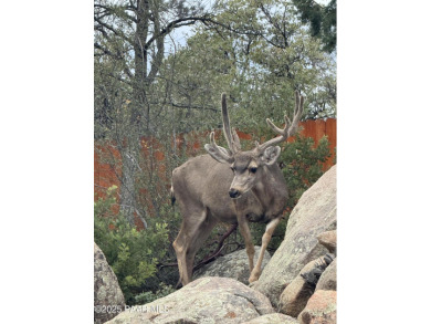 Beautiful custom home with dramatic features including grand on Capital Canyon Club in Arizona - for sale on GolfHomes.com, golf home, golf lot