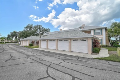 Gorgeous, move-in ready home Priced to Sell! This thoughtfully on Peridia Golf and Country Club in Florida - for sale on GolfHomes.com, golf home, golf lot