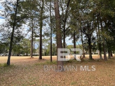 GREAT HOME LOCATED AT THE 14TH FAIRWAY ON THE GOLF COURSE IN on Lake Forest Yacht and Country Club in Alabama - for sale on GolfHomes.com, golf home, golf lot