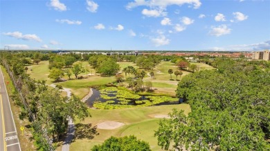 Welcome to 2882 Cathy Lane in Clearwater, Florida--an incredible on Cove Cay Country Club in Florida - for sale on GolfHomes.com, golf home, golf lot