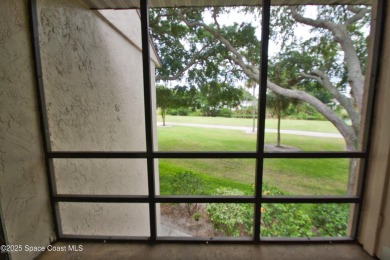55+ Community - The 19th Hole - Direct Golf View - Owner on Mallards Landing Golf Course in Florida - for sale on GolfHomes.com, golf home, golf lot