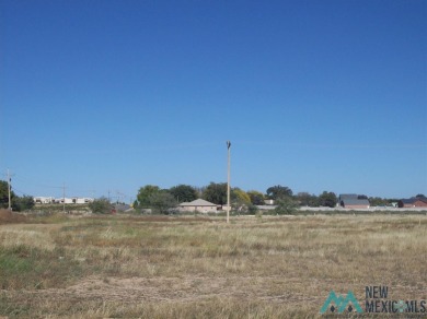 Build The Home Of Your Dreams In A Beautiful Area Of Artesia on Artesia Country Club in New Mexico - for sale on GolfHomes.com, golf home, golf lot