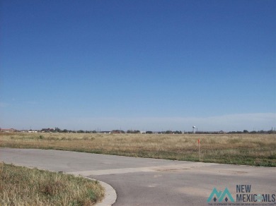 Build The Home  Of Your Dreams In A Beautiful Area Of Artesia on Artesia Country Club in New Mexico - for sale on GolfHomes.com, golf home, golf lot