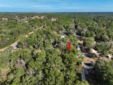 DISCOVER THE CHARM OF WILLISTON IN THIS INVITING .23 ACRE CORNER on Williston Highlands Golf and Country Club in Florida - for sale on GolfHomes.com, golf home, golf lot
