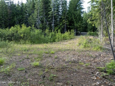 One of the best golf course lots available--right on the 6th on Priest Lake Golf and Tennis Club in Idaho - for sale on GolfHomes.com, golf home, golf lot