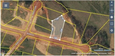 LAST ONE AVAILABLE IN WILLOW ESTATES! Limited supply of new on Southern Hills Golf and Country Club in Tennessee - for sale on GolfHomes.com, golf home, golf lot