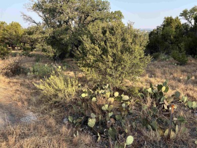 If you are looking for views and an R-6 lot...this is it on Slick Rock Golf Course - Horseshoe Bay in Texas - for sale on GolfHomes.com, golf home, golf lot