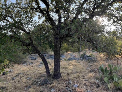 If you are looking for views and an R-6 lot...this is it on Slick Rock Golf Course - Horseshoe Bay in Texas - for sale on GolfHomes.com, golf home, golf lot