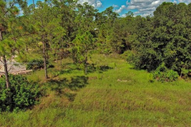 Exclusively listed by Sunland Real Estate: This prime 0.50-acre on Lehigh Resort Club in Florida - for sale on GolfHomes.com, golf home, golf lot