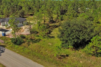 Exclusively listed by Sunland Real Estate: This prime 0.50-acre on Lehigh Resort Club in Florida - for sale on GolfHomes.com, golf home, golf lot