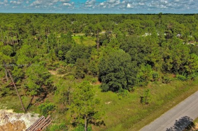 Exclusively listed by Sunland Real Estate: This prime 0.50-acre on Lehigh Resort Club in Florida - for sale on GolfHomes.com, golf home, golf lot