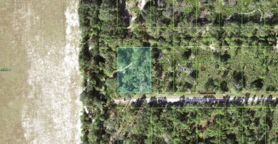 Come build your forever home on this one-half acre lot that on Indian Lake Estates Golf and Country Club in Florida - for sale on GolfHomes.com, golf home, golf lot