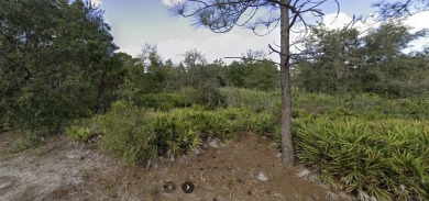 Come build your forever home on this one-half acre lot that on Indian Lake Estates Golf and Country Club in Florida - for sale on GolfHomes.com, golf home, golf lot