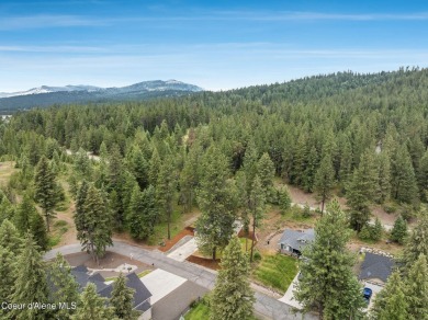 Spacious and Move-In Ready New Construction Home in Sought-After on Stoneridge Golf Club in Idaho - for sale on GolfHomes.com, golf home, golf lot