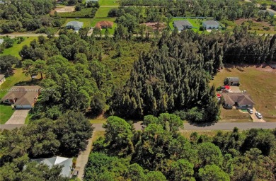 Exclusively Listed by Sunland Real Estate: One of the best on Lehigh Resort Club in Florida - for sale on GolfHomes.com, golf home, golf lot