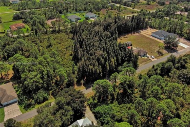 Exclusively Listed by Sunland Real Estate: One of the best on Lehigh Resort Club in Florida - for sale on GolfHomes.com, golf home, golf lot