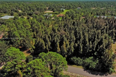 Exclusively Listed by Sunland Real Estate: One of the best on Lehigh Resort Club in Florida - for sale on GolfHomes.com, golf home, golf lot