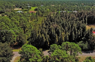 Exclusively Listed by Sunland Real Estate: One of the best on Lehigh Resort Club in Florida - for sale on GolfHomes.com, golf home, golf lot
