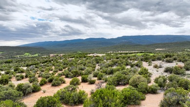 Nestled by a pristine golf course in the heart of a mountain on Paa-Ko Ridge Golf Club  in New Mexico - for sale on GolfHomes.com, golf home, golf lot