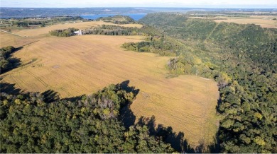 Looking for an awesome hunting spot with a possible building on Lake Pepin Golf Course in Minnesota - for sale on GolfHomes.com, golf home, golf lot