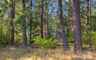 This premier Tumble Creek homesite offers a rare blend of on Suncadia Resort in Washington - for sale on GolfHomes.com, golf home, golf lot