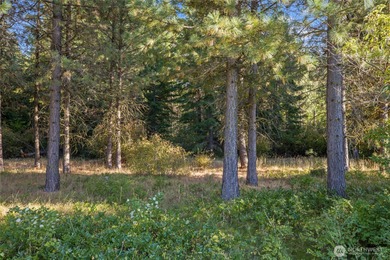 This premier Tumble Creek homesite offers a rare blend of on Suncadia Resort in Washington - for sale on GolfHomes.com, golf home, golf lot
