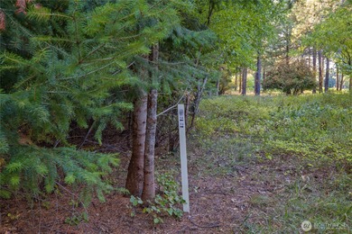 This premier Tumble Creek homesite offers a rare blend of on Suncadia Resort in Washington - for sale on GolfHomes.com, golf home, golf lot