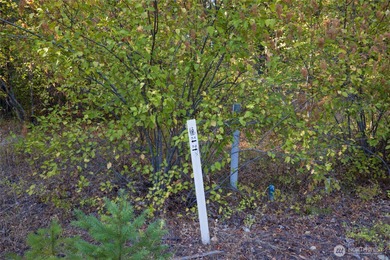 This premier Tumble Creek homesite offers a rare blend of on Suncadia Resort in Washington - for sale on GolfHomes.com, golf home, golf lot