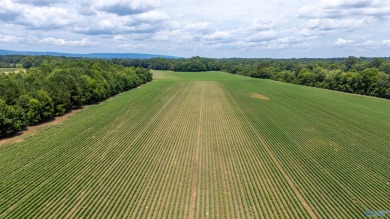 New Listing! First time offered! Beautiful farm featuring 2 on Twin Bridges Golf Course in Alabama - for sale on GolfHomes.com, golf home, golf lot