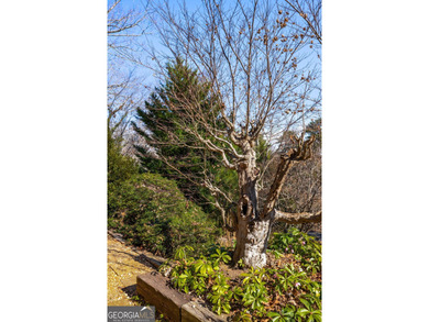 Move-in ready and completely renovated, this 3-bedroom, 2-bath on Chattahoochee Golf Course in Georgia - for sale on GolfHomes.com, golf home, golf lot